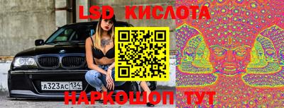 крисы Малгобек