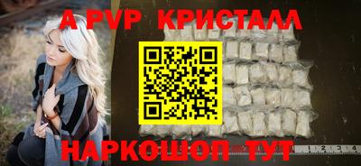 крисы Малгобек